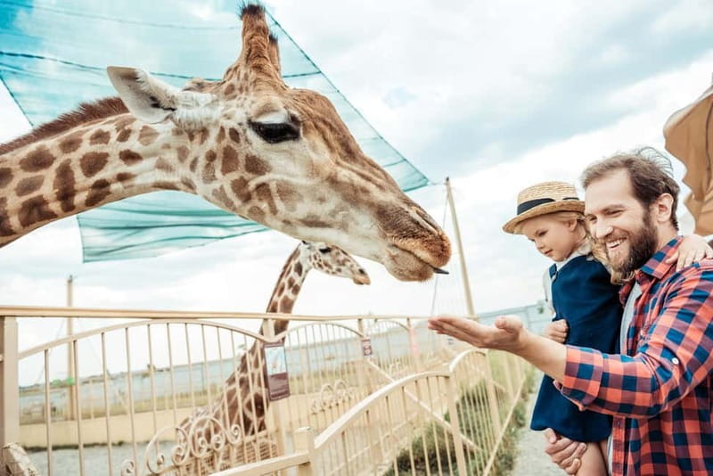 From Krakow: Zoo Trip with Private Luxury Transfer - Key things to know before you go