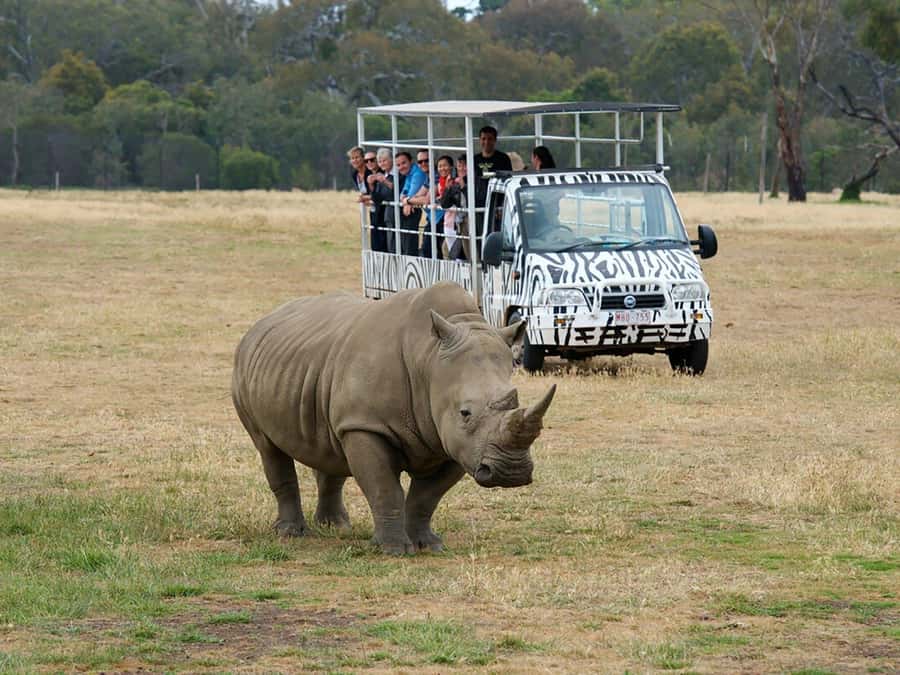 From Melbourne: Werribee Open Range Zoo & Werribee Mansion - How the day flows from Melbourne (and where the time goes)
