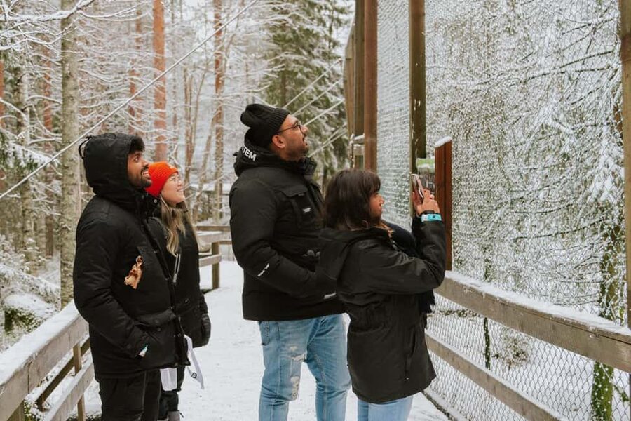 From Rovaniemi: Family Friendly Visit to Ranua Wildlife Park - Key things to know before you go