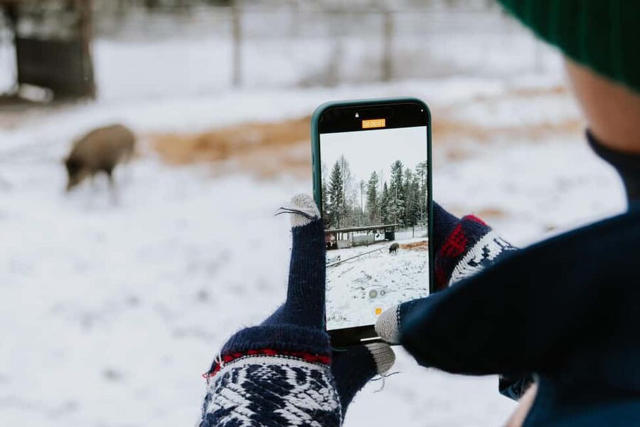 From Rovaniemi: Family Friendly Visit to Ranua Wildlife Park - Your guide and the small-group advantage (up to 8)