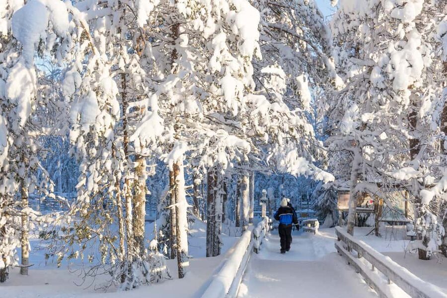 From Rovaniemi: Family Friendly Visit to Ranua Wildlife Park - Food and little comforts: hot drinks and cookies