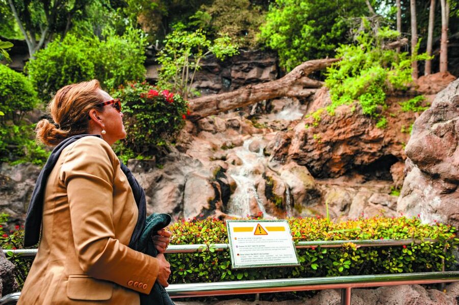 From South Tenerife: Loro Park Zoo Ticket & Hotel Transfers - Should you book this Loro Parque transfer day?