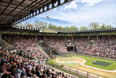 From Sunshine Coast: Australia Zoo Entry Ticket and Transfer - Skip-the-line entry and a smart 6-hour window at Australia Zoo