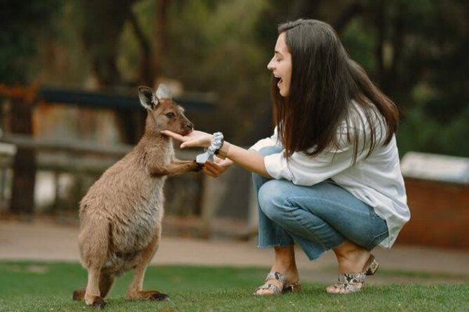 From Sydney Blue Mountains Private Tour with Wildlife Park - Key highlights at a glance