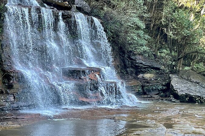 From Sydney Blue Mountains Private Tour with Wildlife Park - Scenic World: the optional add-on that changes the whole feel of the day