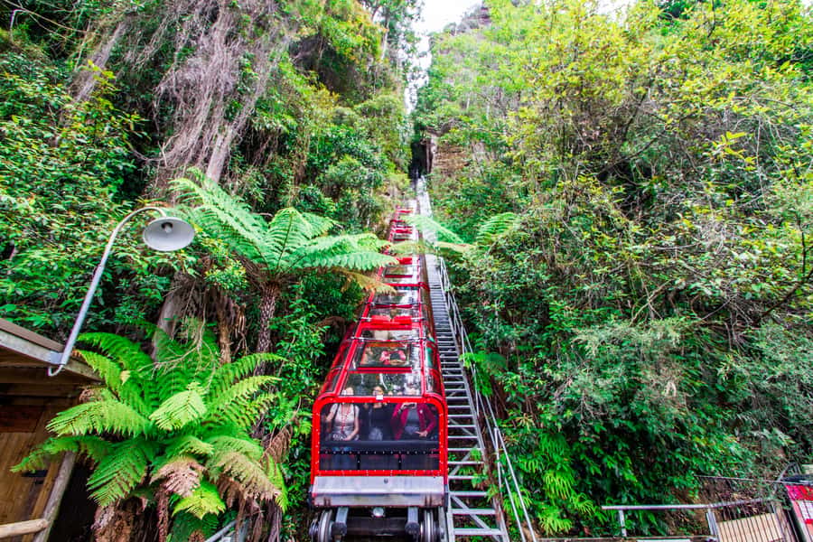 From Sydney: Blue Mountains, Scenic World, Zoo, & Ferry Ride - Blue Mountains Day Trip From Sydney: the mix that actually makes sense