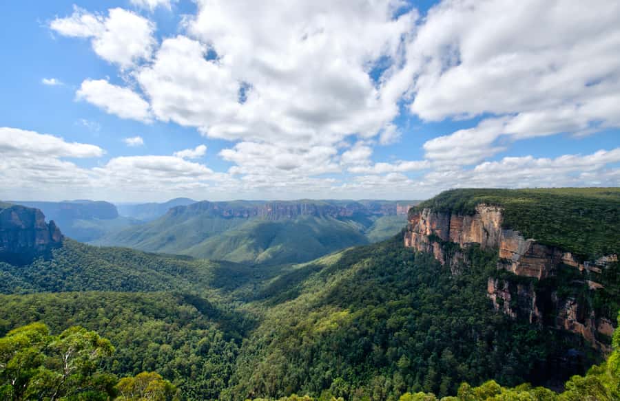 From Sydney: Blue Mountains, Sydney Zoo & Walking Tour - Is this tour good value for $77?