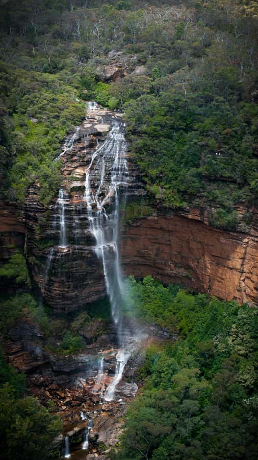 From Sydney: Blue Mountains, Sydney Zoo & Walking Tour - Leura Lunch and Shopping: a breather that prevents the day from feeling stuck