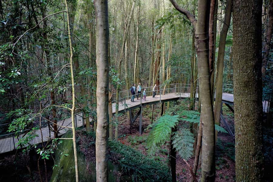 From Sydney: Blue Mountains, Sydney Zoo & Walking Tour - Homebush Bay River Boat Segment: the day wraps with water views