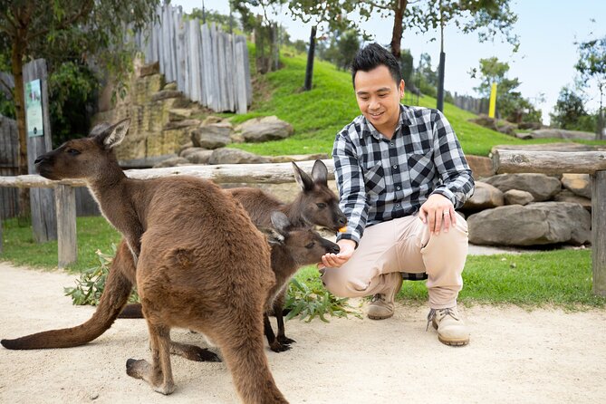 From Sydney: Blue Mountains with Zoo, Koala Photo & Scenic World - Leura Village Lunch Break: Where You Eat On Your Terms