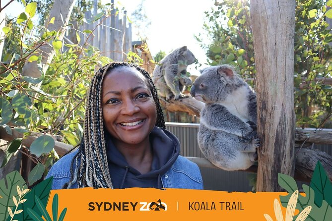 From Sydney: Blue Mountains with Zoo, Koala Photo & Scenic World - Guides, Pace, and Group Size: Why the Day Can Feel Effortless or Rushed