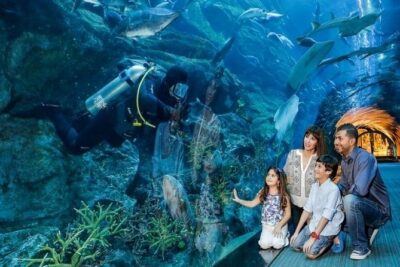 Full Day Dubai City Tour: Burj Khalifa & Underwater Zoo Ticket - Pickup, Route Rhythm, and Timing That Actually Matters