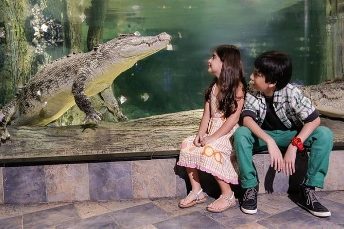 Full Day Dubai City Tour: Burj Khalifa & Underwater Zoo Ticket - Bur Dubai Abra Boat: The Old-City View You Can Actually Ride