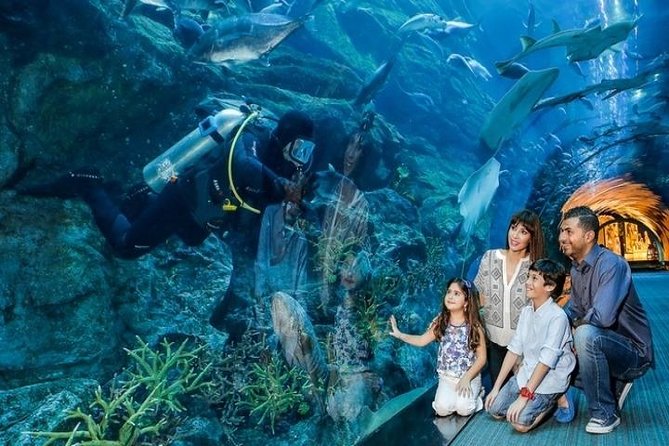 Full Day Dubai City Tour: Burj Khalifa & Underwater Zoo Ticket - Pickup, Route Rhythm, and Timing That Actually Matters