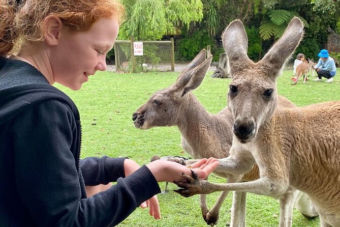 Full-Day Perth, Fremantle, Swan Valley & Wildlife Park - Molly’s Farm: The Gentle Extra That Adds Variety