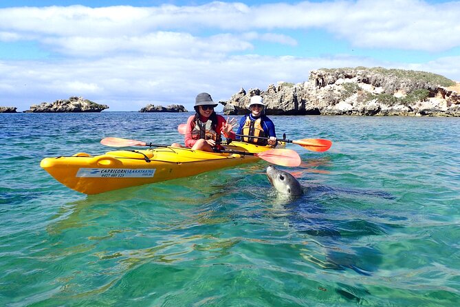 Full-Day Perth, Fremantle, Swan Valley & Wildlife Park - Price and Logistics: Is $208 Good Value for One Day?