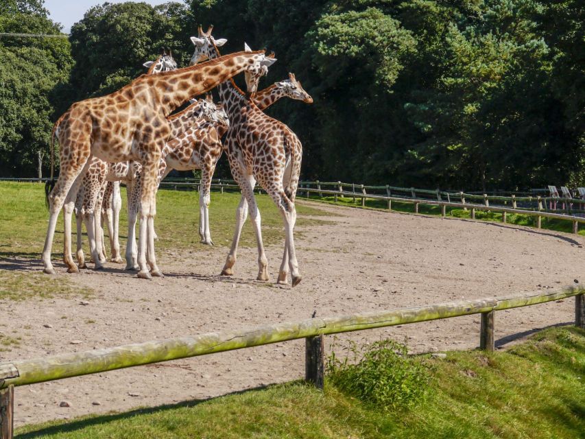 Gdansk: Oliwa Zoo with Tickets and Roundtrip Transportation - Oliwa Zoo in Tricity Landscape Park: what the setting changes