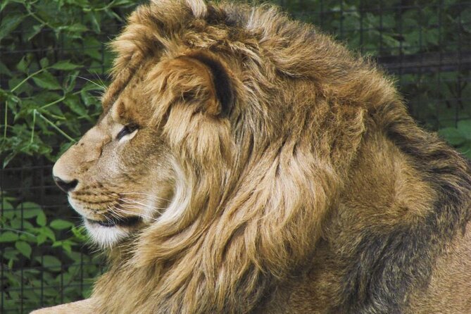 Granby Zoo 1 Day - Bus comfort matters more than you think