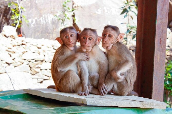 Granby Zoo 1 Day - Who this trip is best for (and who might want another plan)