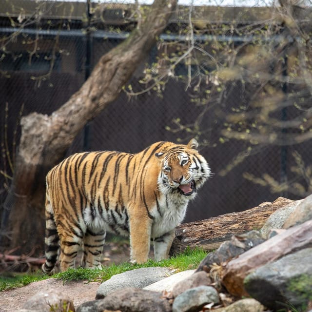 Great Plains Zoo - What to bring and what to skip for a smoother day