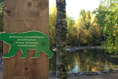 Guided Ranua Wildlife Park tour with Lunch, Small group adventure - Getting there from Rovaniemi: the hour drive sets expectations