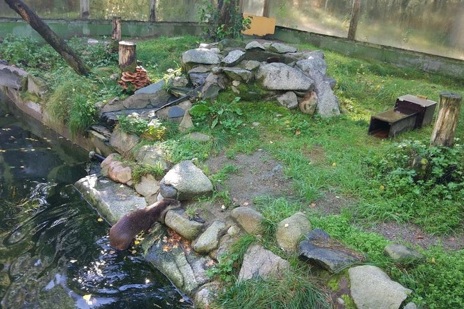 Guided Ranua Wildlife Park tour with Lunch, Small group adventure - Lunch and drinks: a warm reset after cold air