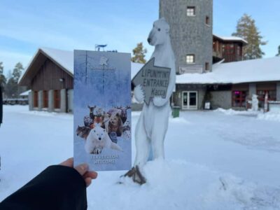 Guided Ranua Wildlife Zoo Tour with Lunch Buffet - Walking the Arctic-style trails: what your guided zoo tour feels like