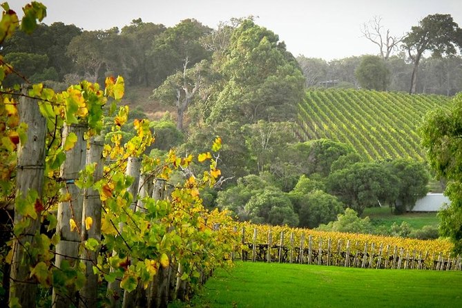 Half-Day Swan Valley & Wildlife Park Tour - Key Points at a Glance
