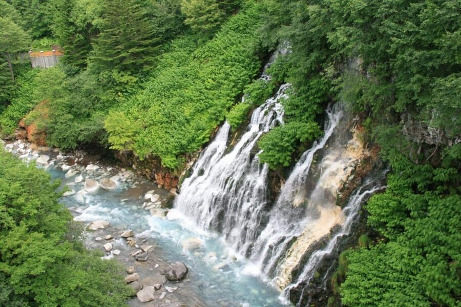 Hokkaido Asahiyama Zoo& Biei Blue pond Tour with Local Guide - Pace, Timing, and Weather: The Reality of a Full-Day Loop