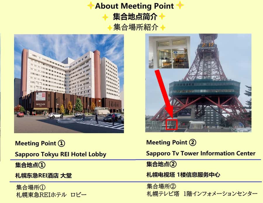 Hokkaido Asahiyama Zoo& Biei Blue pond Tour with Local Guide - Sapporo Meet-Up: The EasyGo Flag and a Smooth Morning Start