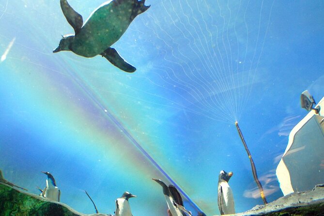 Hokkaido Asahiyama Zoo, Furano and Biei Bus Tour - Lunch reality on a 10+ hour day