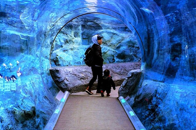 Hokkaido Asahiyama Zoo, Furano and Biei Bus Tour - Price and value: what $85.20 gets you