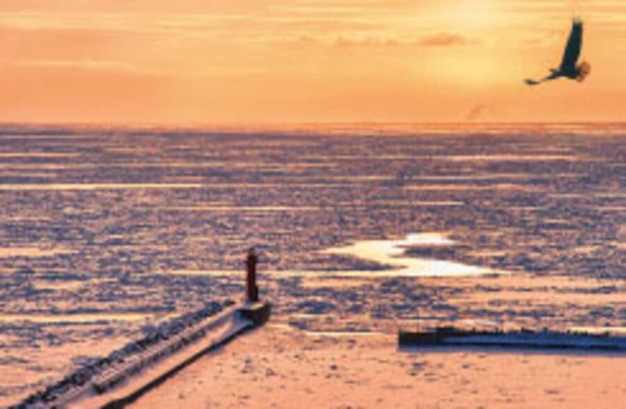 Hokkaido Asahiyama Zoo, Icebreaker GARINKO GO Sunset Tour - The Full Schedule, Stop by Stop (and What Each Part Really Gives You)
