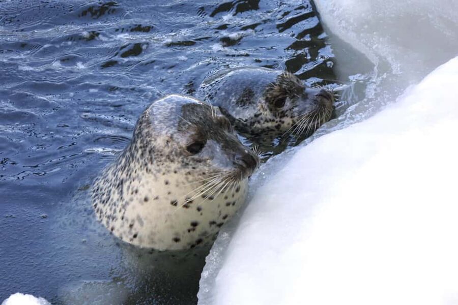 Hokkaido Asahiyama Zoo, Icebreaker GARINKO GO Sunset Tour - Logistics You Should Not Ignore (Bus Time, Weather, and Stops)