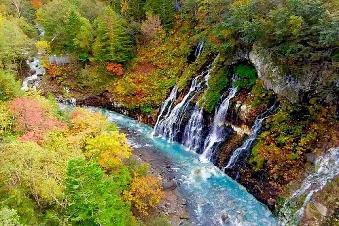 Hokkaido Day Tour from Sapporo: Asahiyama Zoo, Blue Pond Japan - Why This Hokkaido Day Tour Works From Sapporo
