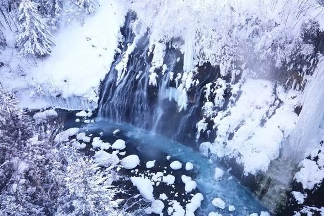 Hokkaido Day Tour from Sapporo: Asahiyama Zoo, Blue Pond Japan - Asahiyama Zoo: Penguin Walks, Seals, and Polar Bears