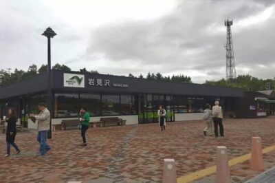 Hokkaido Day Tour from Sapporo: Asahiyama Zoo, Blue Pond Japan - Price and What You Actually Get for $105.99