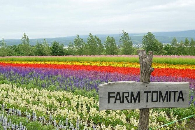 Hokkaido Highlights of Flower Blossom, Asahiyama Zoo& Blue pond「Aoi-ike」! - Starting Point and Timing: A Very Sapporo Start
