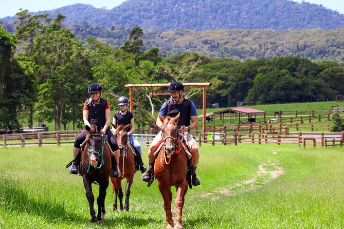Horse and Quad bike tour with a visit to a Petting Zoo - Key things to know before you go
