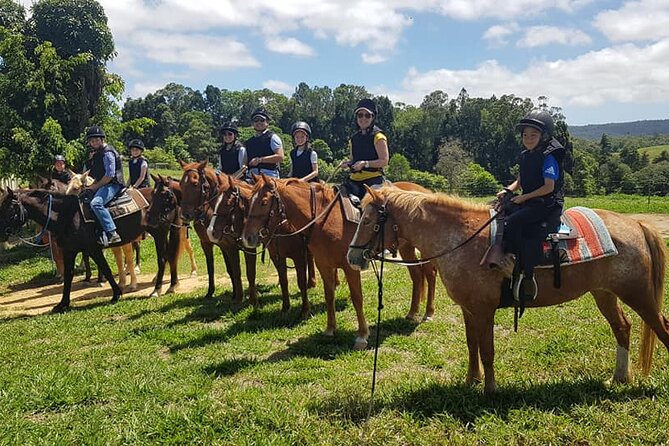 Horse and Quad bike tour with a visit to a Petting Zoo - The horse ride (about 30 minutes): gentle confidence-building with an option for speed