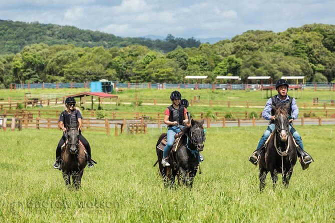 Horse and Quad bike tour with a visit to a Petting Zoo - Who this tour suits best (and who should reconsider)