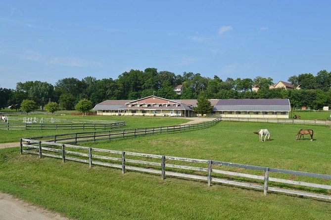 Horseback Rides, Interactions, and Petting Zoo - Mini Horse Time and the Weight Limits You Should Know