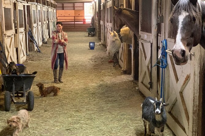 Horseback Rides, Interactions, and Petting Zoo - Small-Group Flow: What to Do When You’re Not Riding