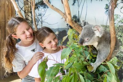 Japanese Tour Small Group: Blue Mountains, Scenic World, Zoo - How the day runs from Central Station (and what changes with hotel pickup)