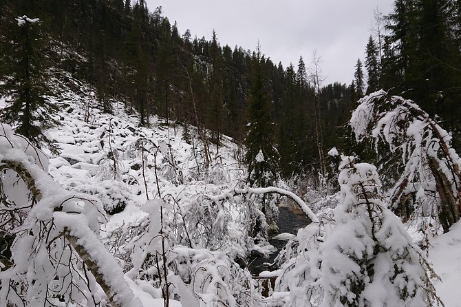 Korouoma Canyon & Ranua Zoo Tour - Korouoma Canyon Hike: Big Views, Real Terrain, All Year