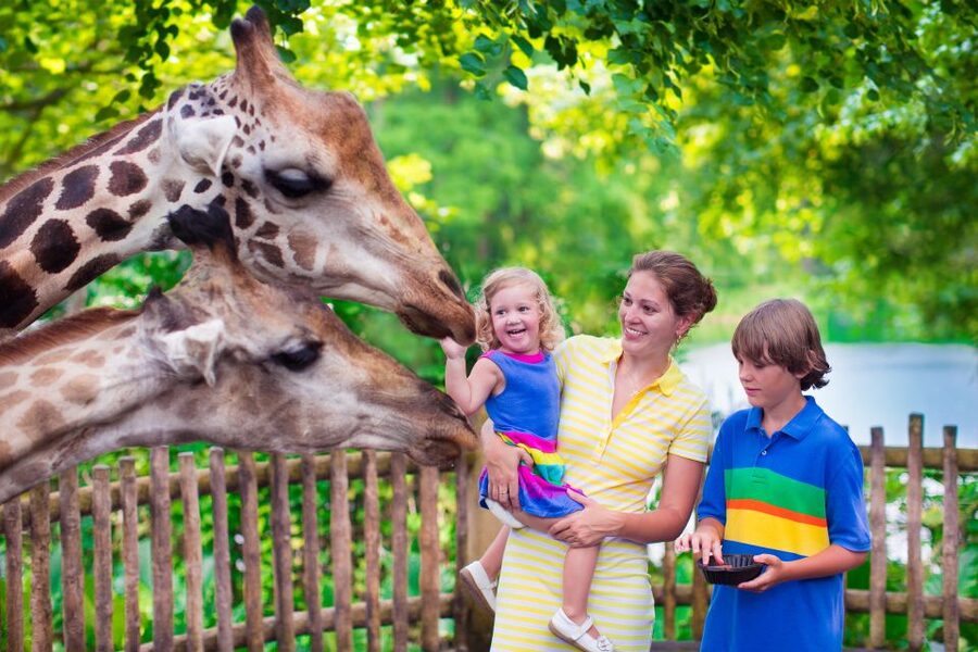 Krakow: Zoo Tour with Private Transport and Tickets - Key things to know before you go