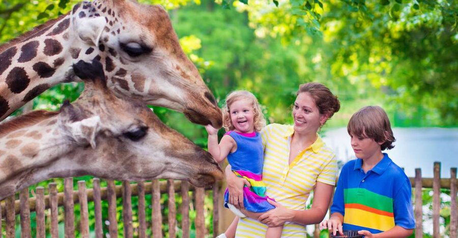 Krakow: Zoo Tour with Private Transport and Tickets - Inside Krakow Zoo: what to look for during your 3 hours