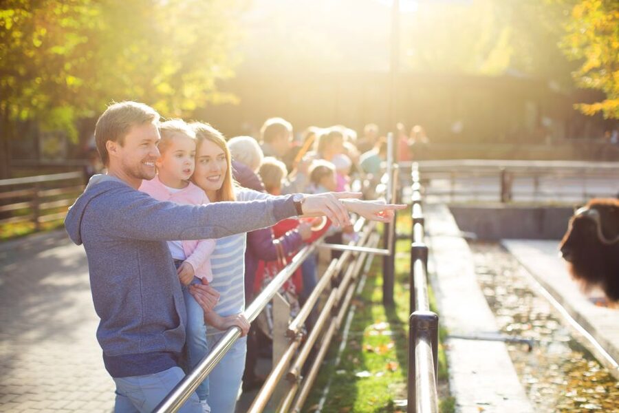 Krakow: Zoo Tour with Private Transport and Tickets - Price and value: is $94 per person worth it?
