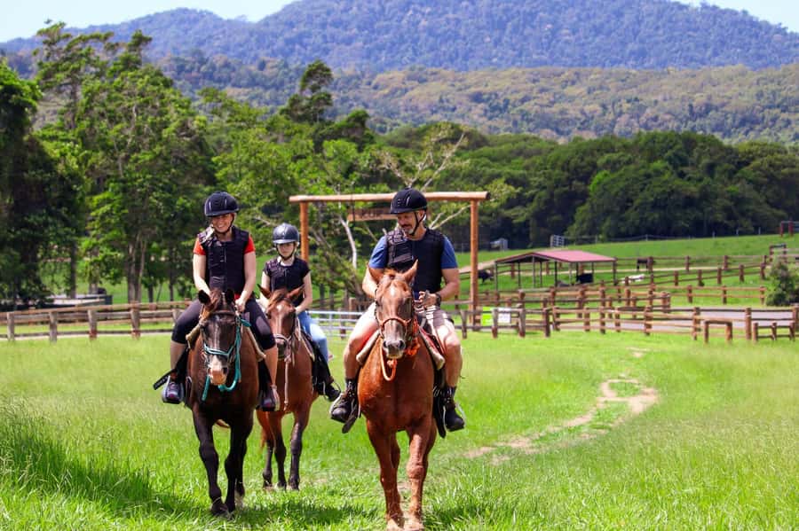 Kuranda: 60 minute Guided Horse Trail Ride & Petting Farm - Key things to know before you go