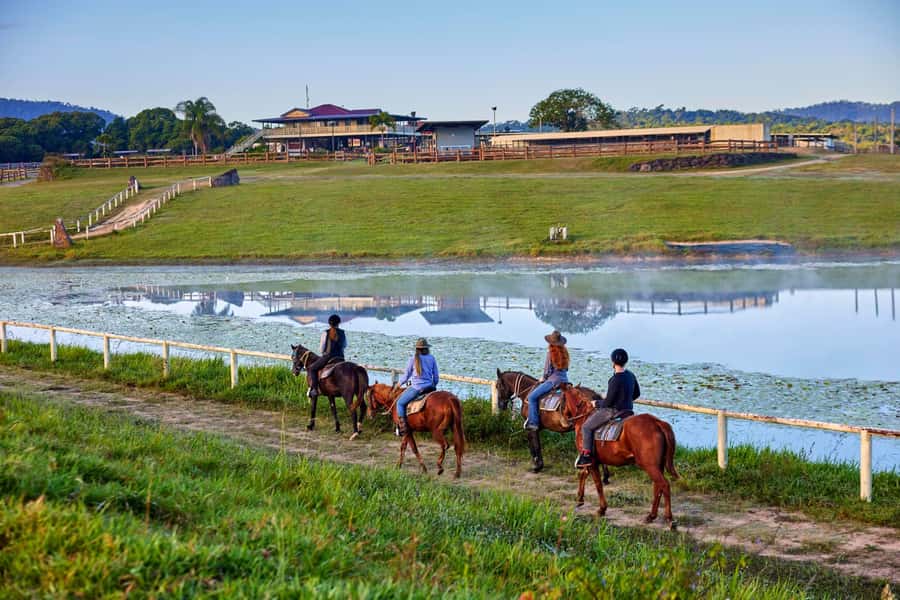 Kuranda: 60 minute Guided Horse Trail Ride & Petting Farm - The 60-minute guided horse trail: paddocks and rainforest tracks